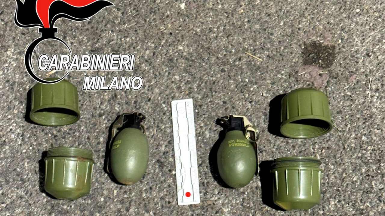 Cusano Milanino (MI): droga e armi sequestrate dai carabinieri