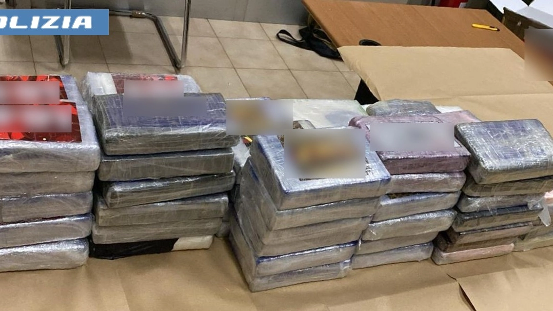I 76 chili di cocaina suddivisi in panetti sequestrati dalla polizia I 76 chili di cocaina suddivisi in panetti sequestrati dalla polizia