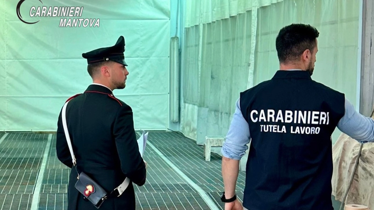 Carabinieri tutela del lavoro in azione Carabinieri tutela del lavoro in azione