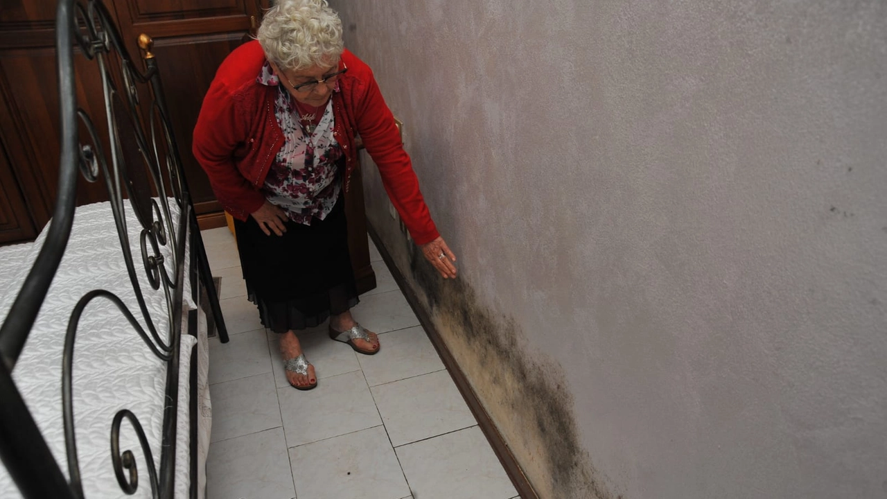 Adele Pavesi, 84 anni, mostra i segni della muffa sui muri di casa