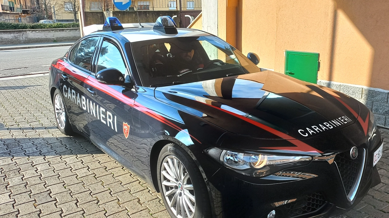 Sul posto sono intervenuti i carabinieri e hanno arrestato le due donne Sul posto sono intervenuti i carabinieri e hanno arrestato le due donne