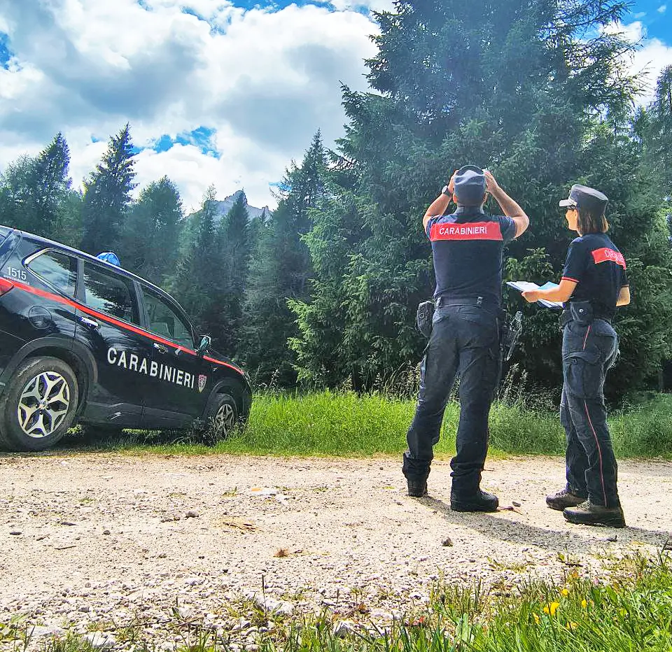Bergamo, controlli nei boschi: cavalli denutriti e rifiuti abbandonati. Sanzioni e denunce