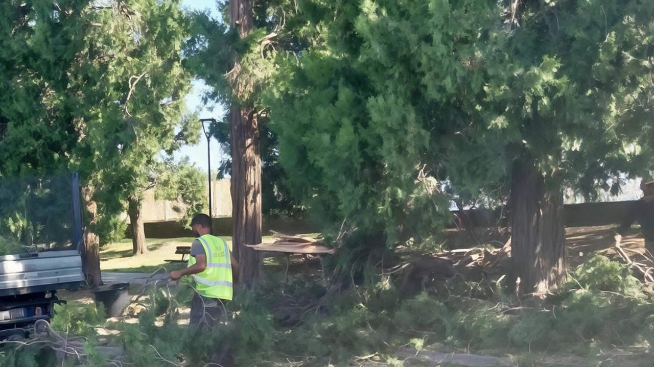 Raffiche di vento fortississime si sono abbattute venerdì sera anche su Lentate sul Seveso, come coda di violenti temporali che...