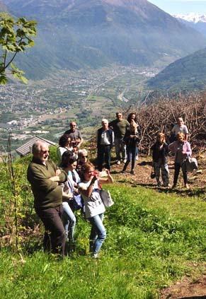 albosaggia il paese delle storie tre giorni per parlare di stagioni da Ilgiorno.it albosaggia il paese delle storie tre giorni per parlare di stagioni