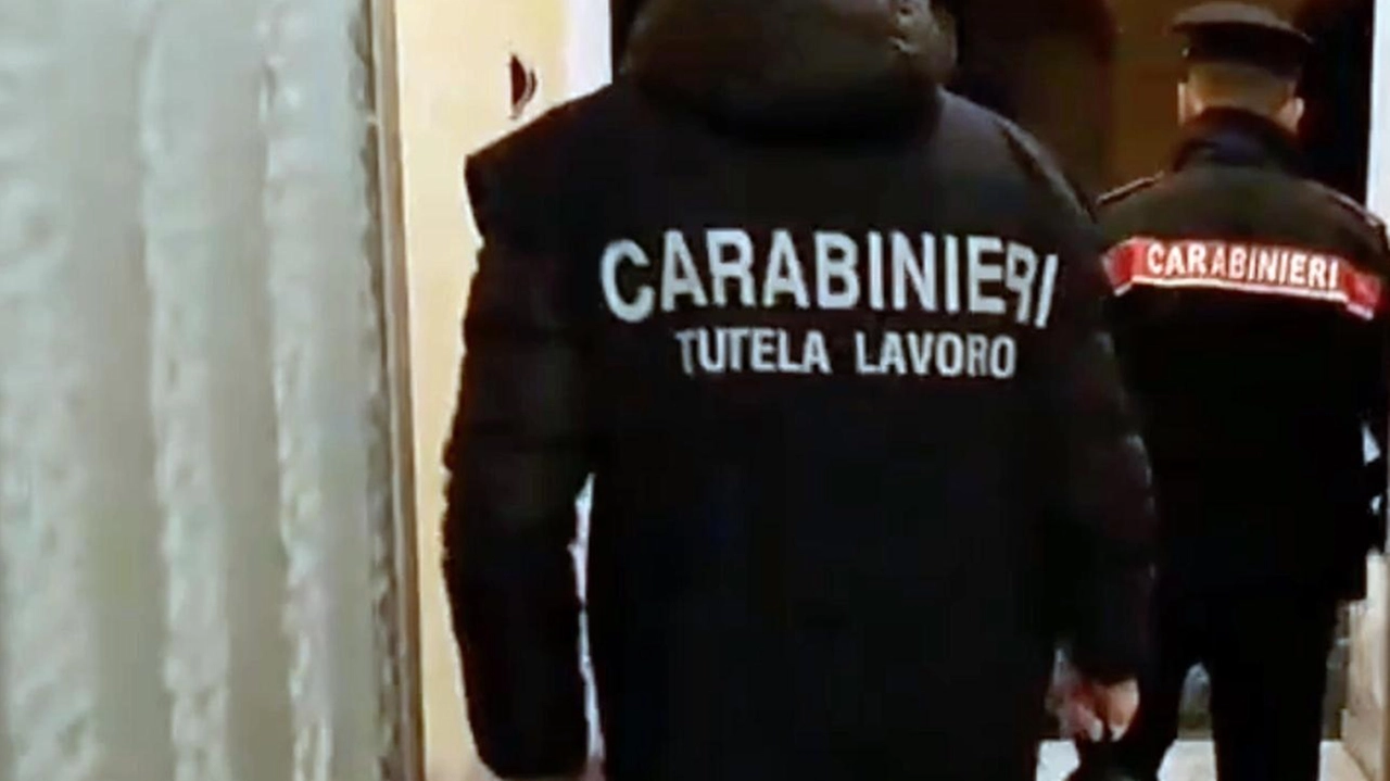 Blitz dell’Ispettorato in una ditta di pellet, otto dipendenti in nero