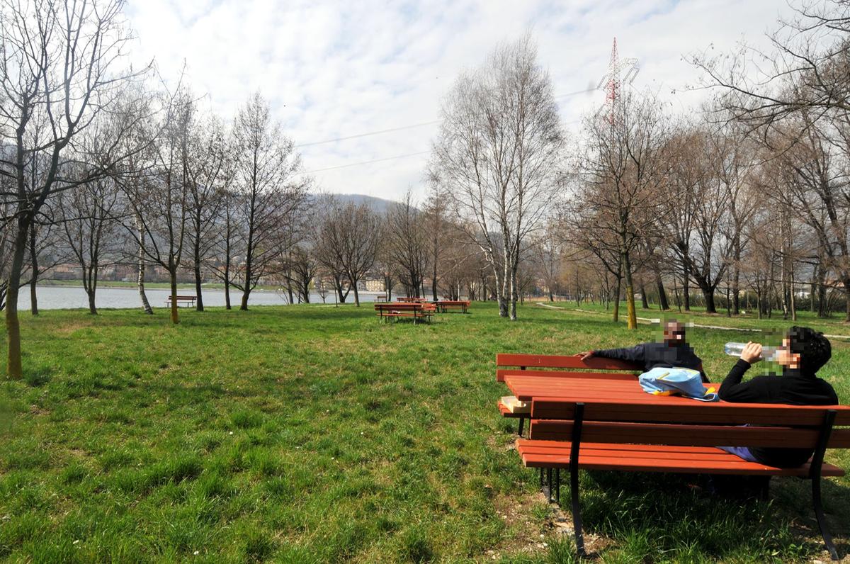Il bosco “dimenticato” sull’Adda: 65 alberi “fantasma”. Dovevano sostituire quelli abbattuti ma di loro non c’è traccia