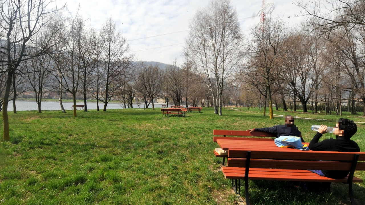 Gli alberi dovevano essere piantati al posto di altri 116 abbattuti. Un piccolo bosco in riva all’Adda e all’interno dei confini del Parco Adda Nord è così sparito