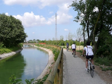 immagine articolo