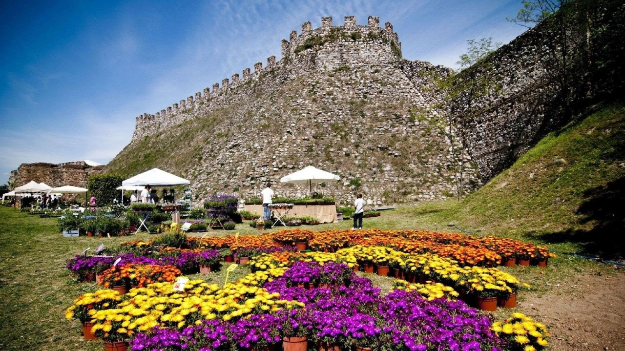 Fiori nella Rocca a Lonato del Garda, benvenuti nel castello-giardino