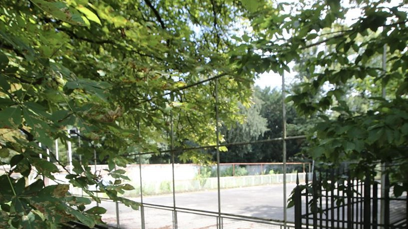 La parabola in ascesa dell’Autodromo e il successo del Villa Reale Tennis Club agli Atp Challenger accendono curiosità e interrogativi...