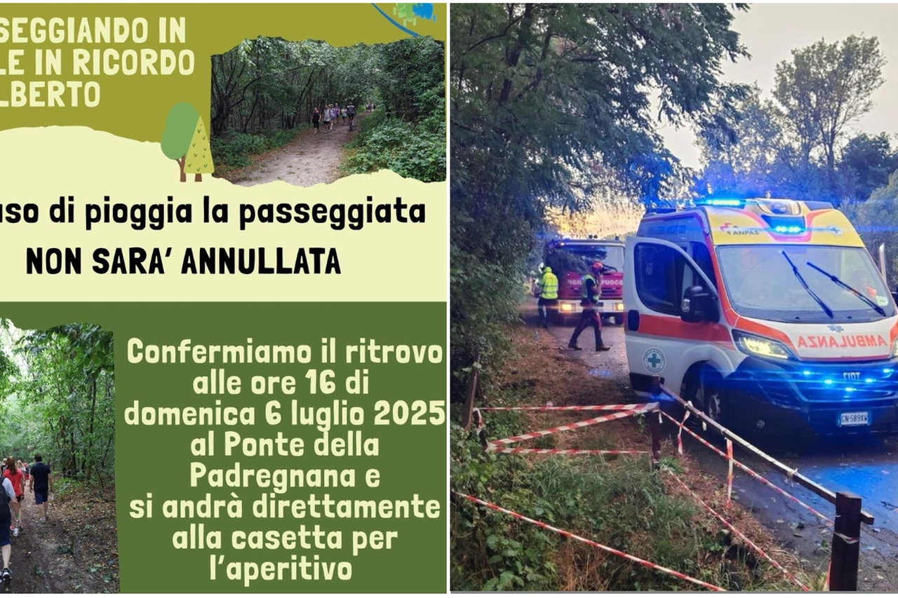 Il volantino dell'iniziativa; a destra, l'intervento dopo la caduta della pianta
