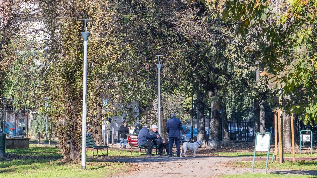 Il Parco delle Favole a rischio cementificazione: una lunga battaglia legale per preservare questo polmone verde nel quartiere di Affori, simbolo di resistenza contro la Gronda Nord.