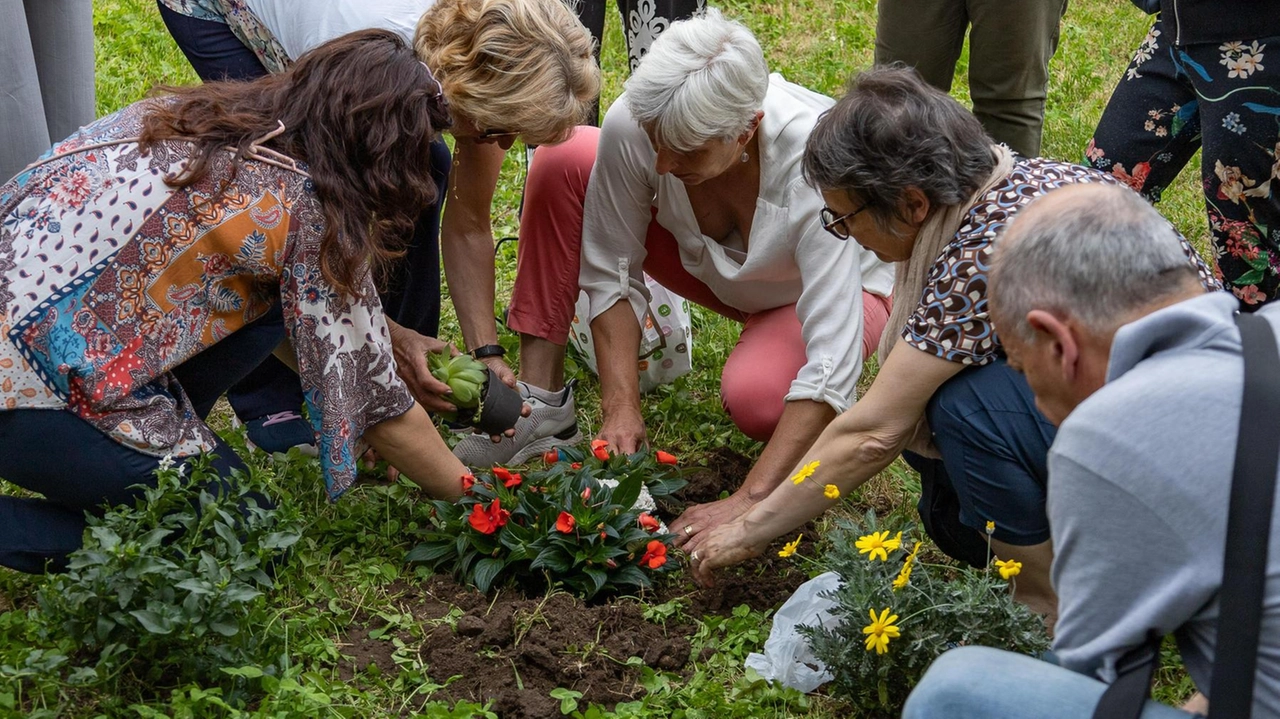 Fiori in ricordo di Sofia Castelli: al parco di via Negrinelli, vicino all’abitazione della famiglia, l’associazione Scarpetta Rossa Aps ha organizzato una commemorazione Fiori in ricordo di Sofia Castelli: al parco di via Negrinelli, vicino all’abitazione della famiglia, l’associazione Scarpetta Rossa Aps ha organizzato una commemorazione