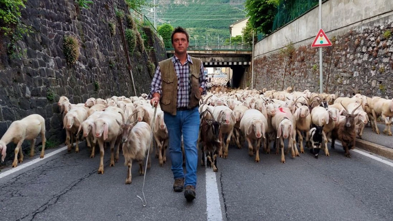 Andrea Galbusera, il pastore di Colle Brianza Andrea Galbusera, il pastore di Colle Brianza