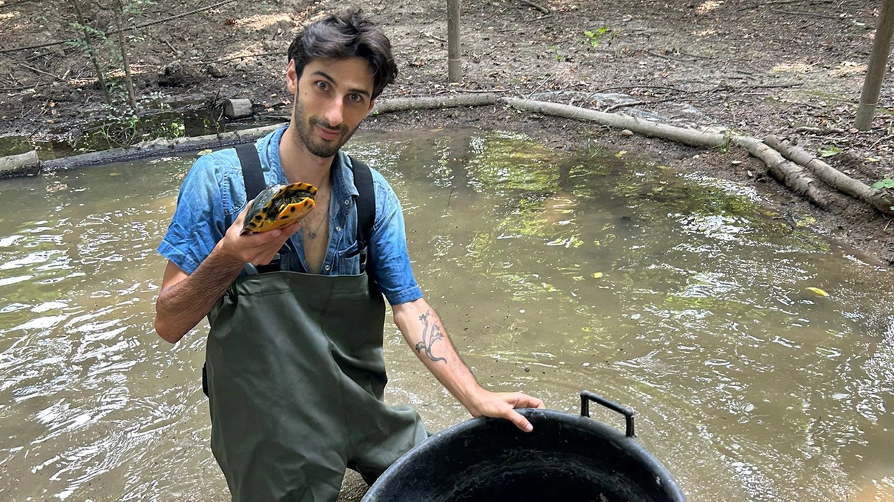Edoardo Fivizzoli, la TartaGuida Edoardo Fivizzoli, la TartaGuida