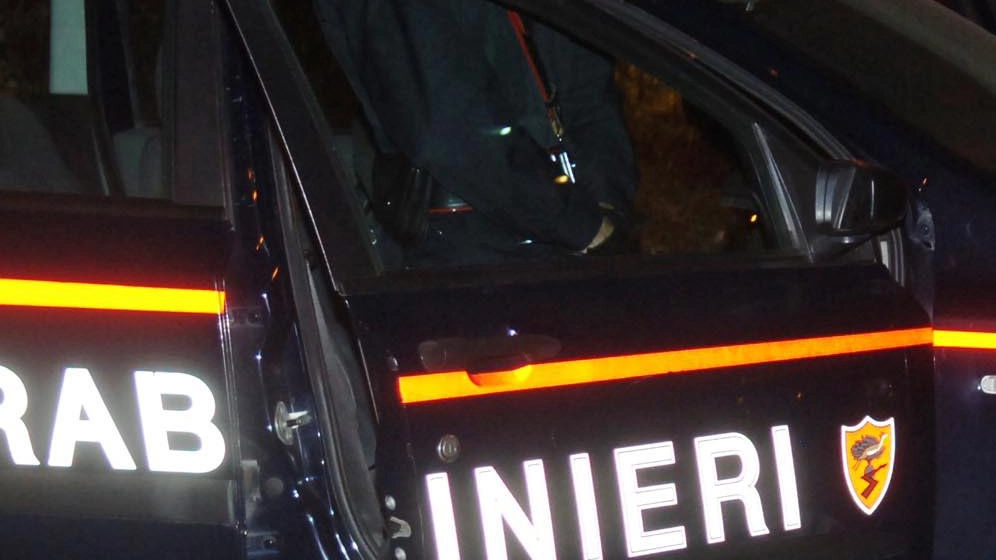 Topo di appartamento in trappola. A tradirlo il troppo rumore che ha fatto. I vicini della casa che stava svaligiando... Topo di appartamento in trappola. A tradirlo il troppo rumore che ha fatto. I vicini della casa che stava svaligiando...