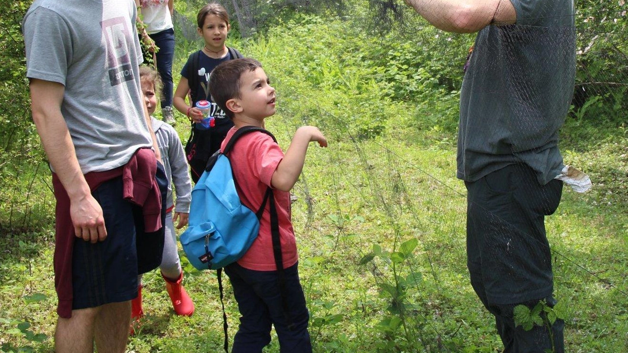 Sentinelle per un giorno di biodiversità. Al parco Adda Nord torna Bioblitz, tre appuntamenti con l’ambiente, esperti accompagnano il pubblico...