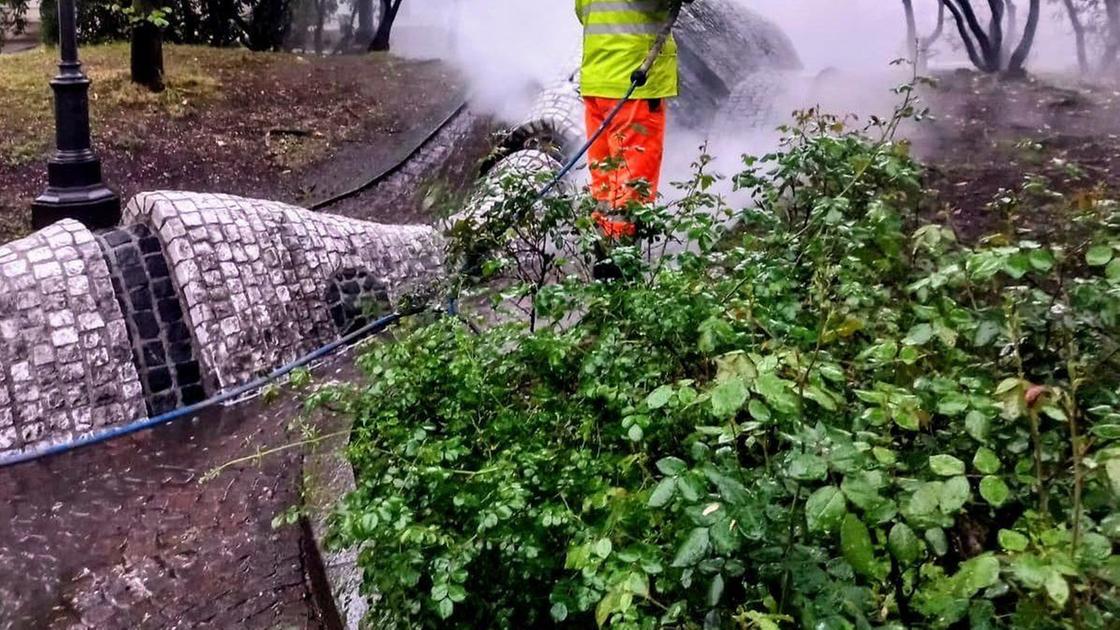 Cem lancia da Ilgiorno.it il cem si lancia nelle pulizie di primavera