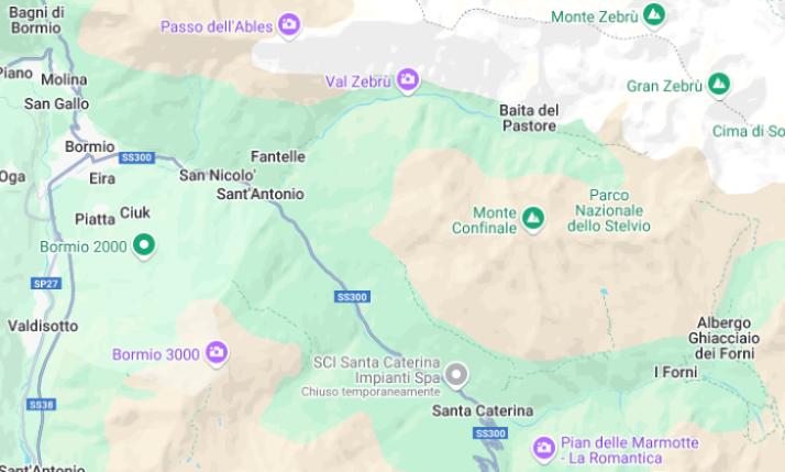 parco dello stelvio a tu per tu con l orso bruno scatta la foto e poi fugge sul tetto di una baita