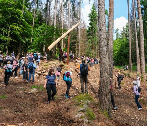 suoni nel bosco tra arte e natura a passo del vendulo a roncobello