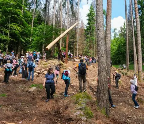 Suoni nel bosco, tra arte e natura a Passo del Vendulo a Roncobello
