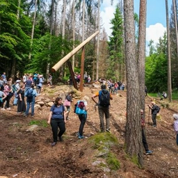 Suoni nel bosco, tra arte e natura a Passo del Vendulo a Roncobello