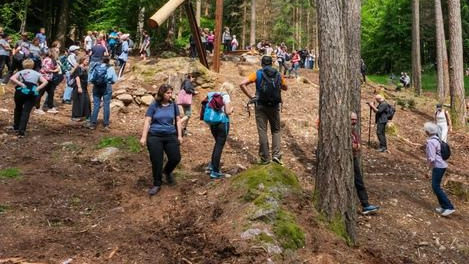 Suoni nel bosco, tra arte e natura. È ciò che accadrà questa sera, alle 20, a Passo del Vendulo a...