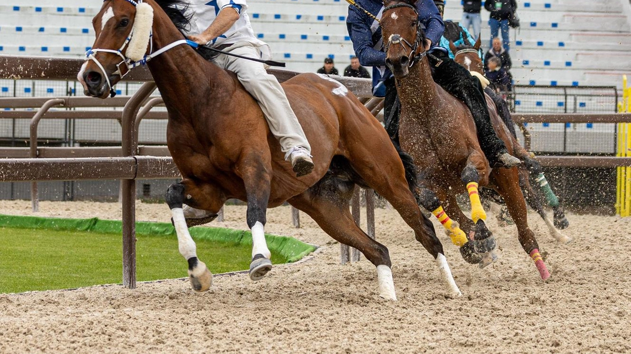 Corse di addestramento al Palio, si torna al passato? Non c’è alcuna comunicazione ufficiale nel merito, ma sembra che... Corse di addestramento al Palio, si torna al passato? Non c’è alcuna comunicazione ufficiale nel merito, ma sembra che...