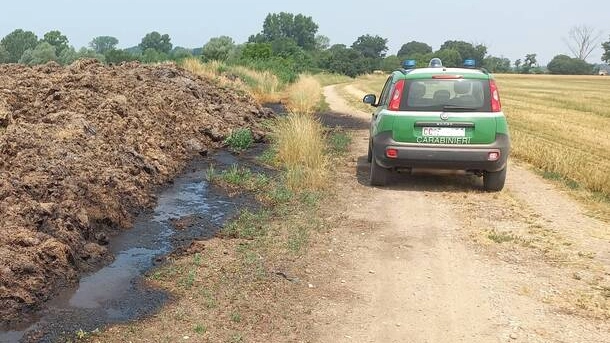 I controlli dei Carabinieri della forestale nel Parco regionale della Valle del Ticino e nei comuni limitrofi I controlli dei Carabinieri della forestale nel Parco regionale della Valle del Ticino e nei comuni limitrofi