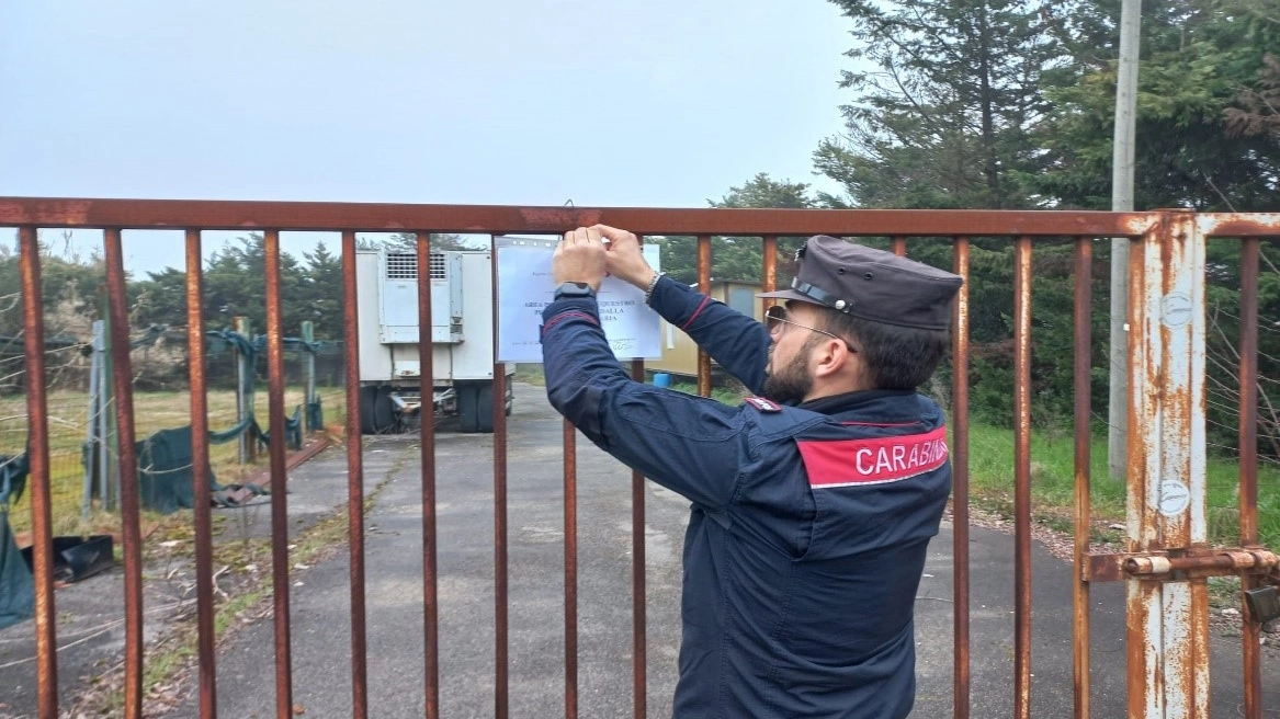 I controlli sono stati effettuati dai carabinieri del nucleo forestale di Asso (Archivio)