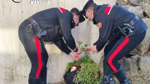 I carabinieri di Mantova I carabinieri di Mantova