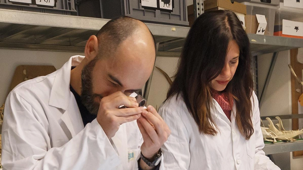 Quarantadue nuovi ricercatori saranno ingaggiati negli atenei lombardi: il Ministero dell’Università e della Ricerca ha previsto un finanziamento di 4.475.000...