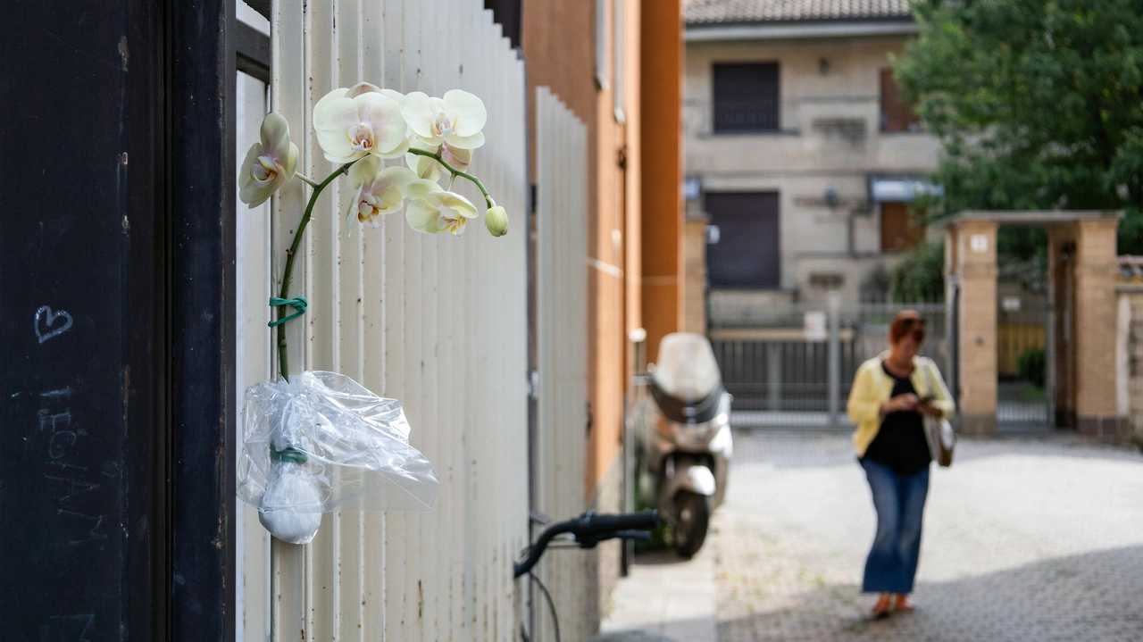 Qualcuno ha messo un'orchidea bianca sul luogo dell'incidente in cui è morta la bimba di tre anni Qualcuno ha messo un'orchidea bianca sul luogo dell'incidente in cui è morta la bimba di tre anni
