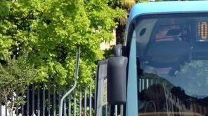 Cane non gradito sul bus sostitutivo