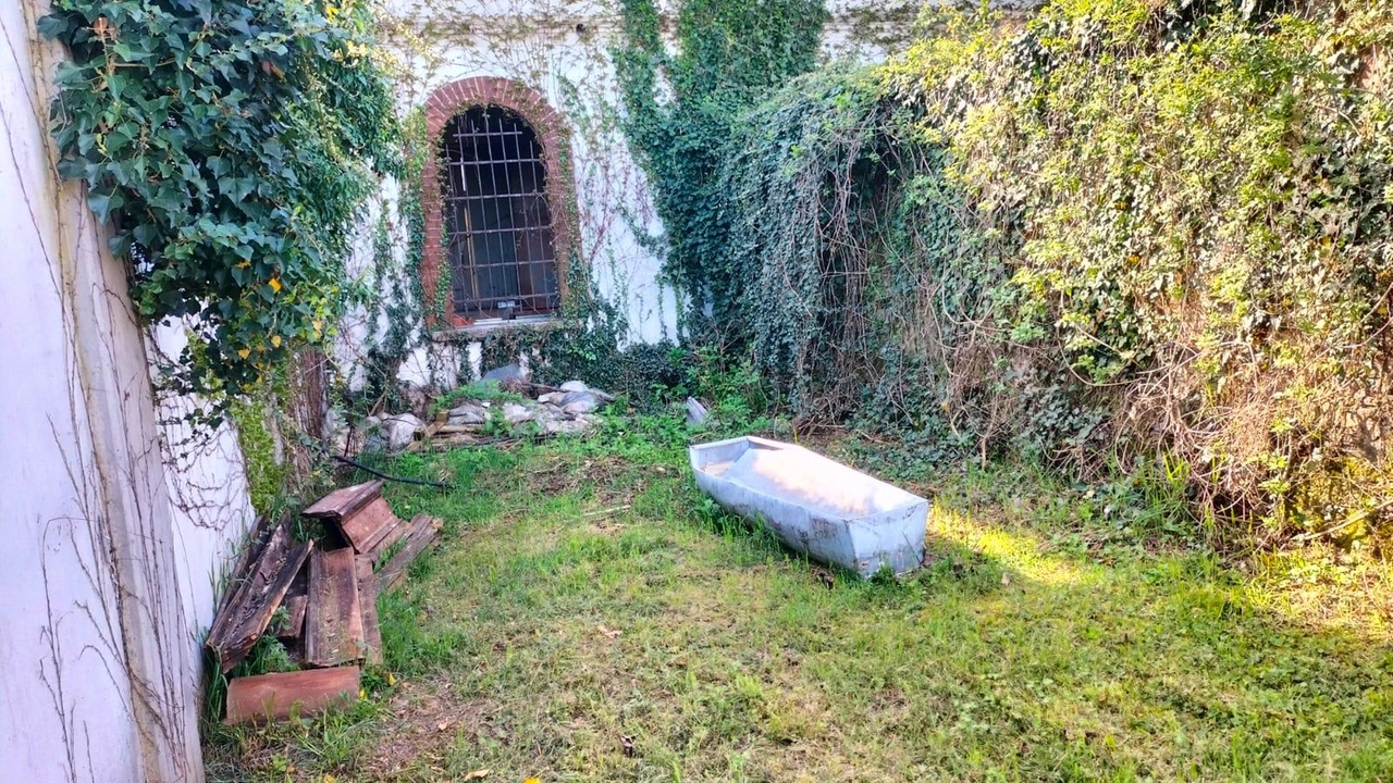 Una bara abbandonata nel cimitero