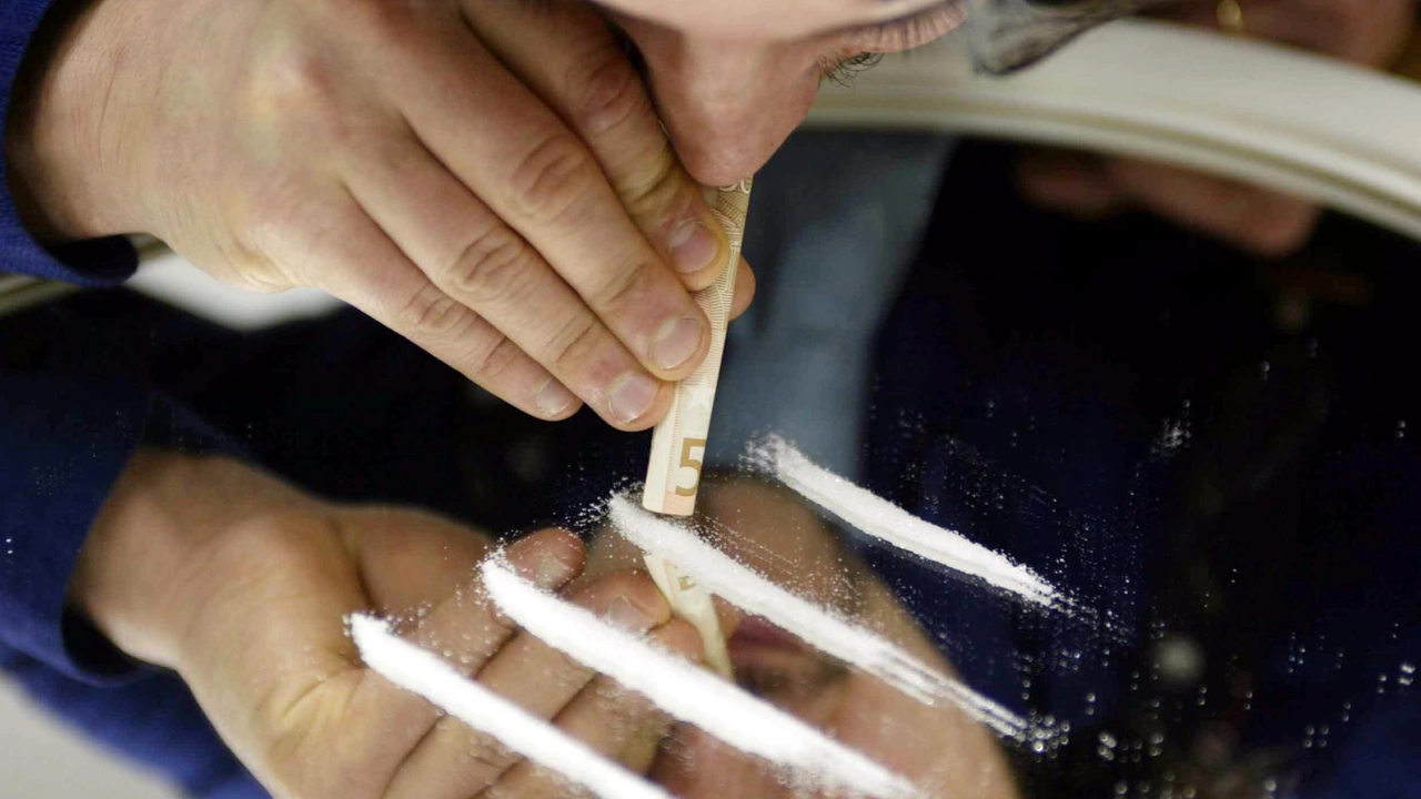 La banda importava droga dall'Albania sfruttando i contatti con i clan locali