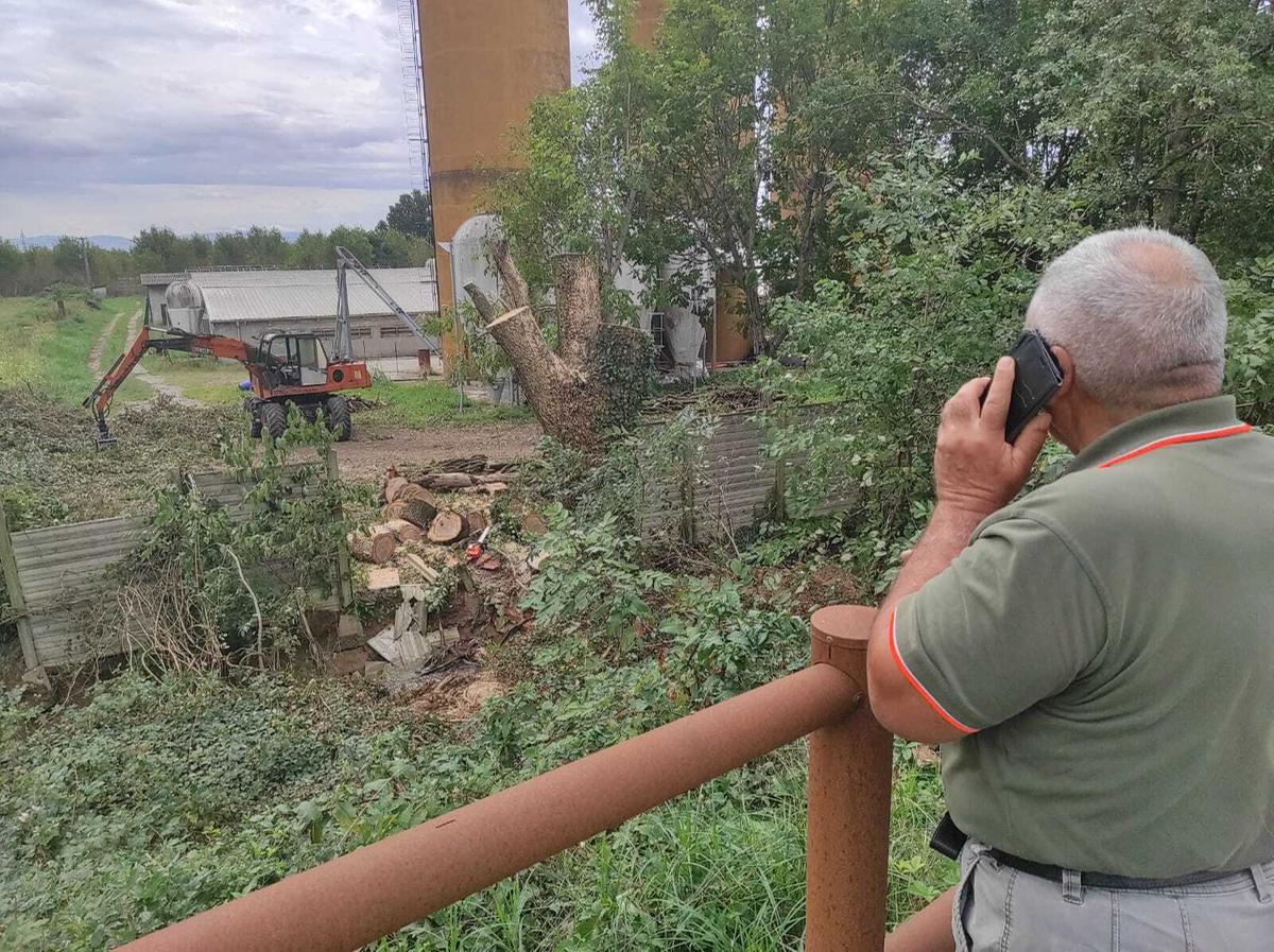 Tragedia sul lavoro a Senna Lodigiana, boscaiolo muore travolto dall’albero che stava tagliando