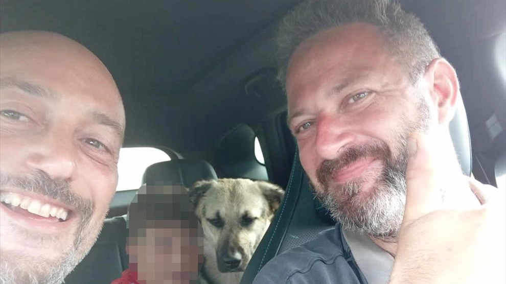 Il cane Dea dopo la brutta avventura in acqua La famiglia adottiva ha potuto riabbracciarla