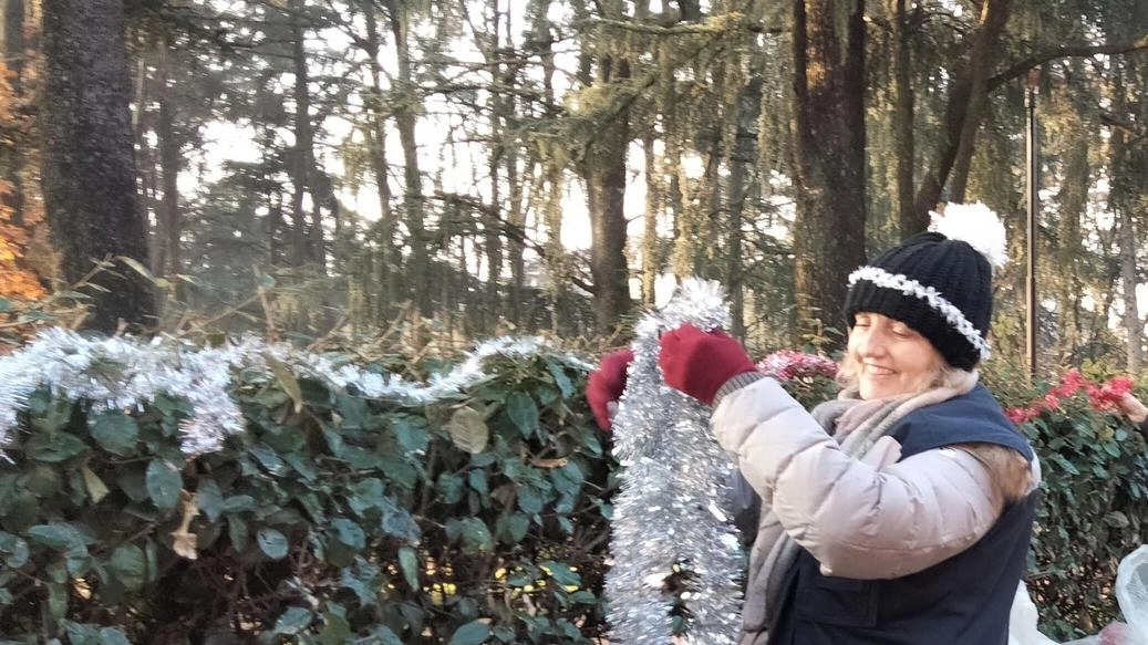 Chi vuole la può abbellire fino al giorno dell’Epifania, sistemandovi palline, addobbi, pensieri e disegni. La "Siepe di Natale"... Chi vuole la può abbellire fino al giorno dell’Epifania, sistemandovi palline, addobbi, pensieri e disegni. La "Siepe di Natale"...