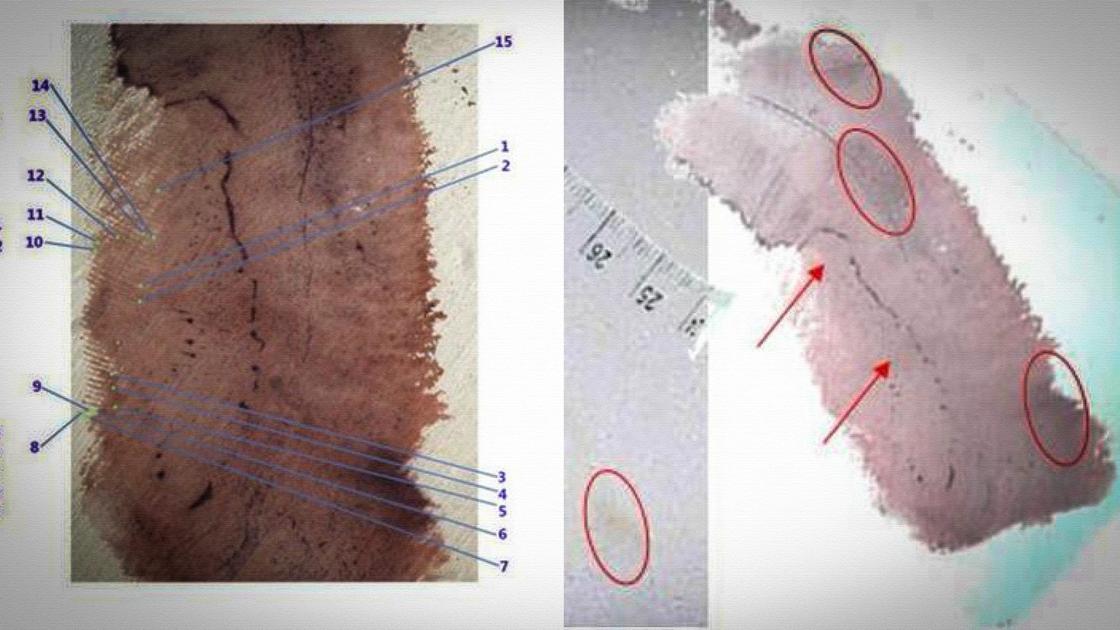 delitto di garlasco l8217impronta 33 a un binario morto non 232 possibile alcun accertamento