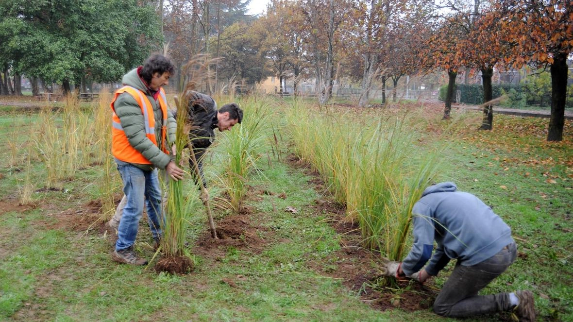 Gli obiettivi: arginare le alte temperature mitigare l’inquinamento e valorizzare tre grandi lotti di terreno Gli obiettivi: arginare le alte temperature mitigare l’inquinamento e valorizzare tre grandi lotti di terreno