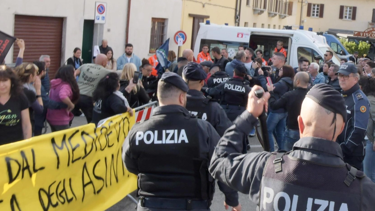Durante la festa di San Zeno a Bereguardo, contestazioni alla corsa degli asini da parte degli animalisti per la mancanza di un'ambulanza veterinaria e il manto stradale inadatto. Scontro tra sostenitori e contestatori.