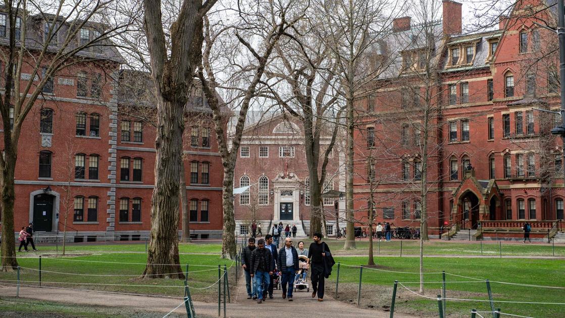 io dottorando milanese ad harvard laurea tra 5 giorni ma con trump rischio di essere cacciato