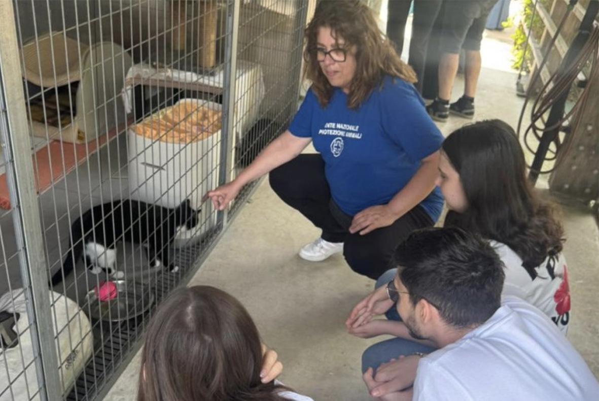 La campagna anti abbandono: "I cani non sono rifiuti da gettare" La campagna anti abbandono: "I cani non sono rifiuti da gettare"