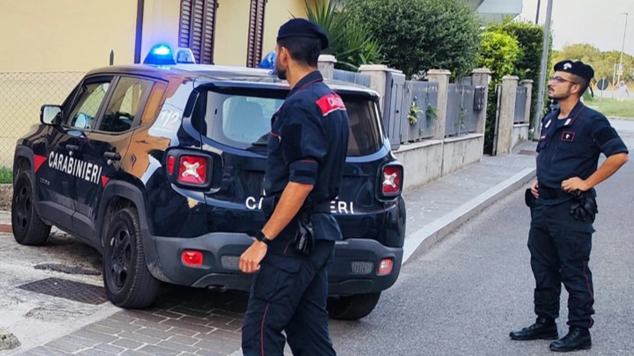 La donna è stata arrestata dai carabinieri (foto di repertorio) La donna è stata arrestata dai carabinieri (foto di repertorio)