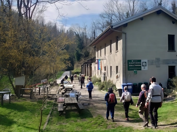 immagine articolo