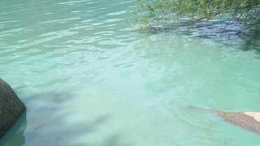 Colorazione anomala per le acque del lago d’Idro, diventato nei giorni scorsi di un color azzurro verdastro. Dopo diverse segnalazioni,... Colorazione anomala per le acque del lago d’Idro, diventato nei giorni scorsi di un color azzurro verdastro. Dopo diverse segnalazioni,...
