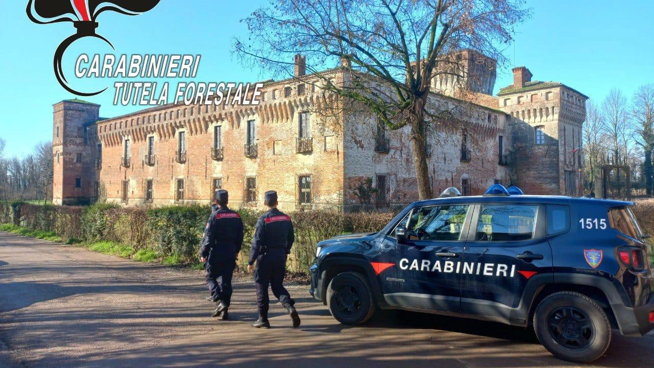 Una parte dell’area attigua al castello di Padernello è stata posta sotto sequestro dai carabinieri forestali di Brescia su disposizione... Una parte dell’area attigua al castello di Padernello è stata posta sotto sequestro dai carabinieri forestali di Brescia su disposizione...