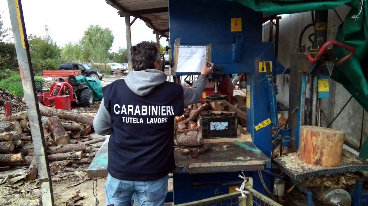 Blitz dei carabinieri in un'azienda agricola Blitz dei carabinieri in un'azienda agricola