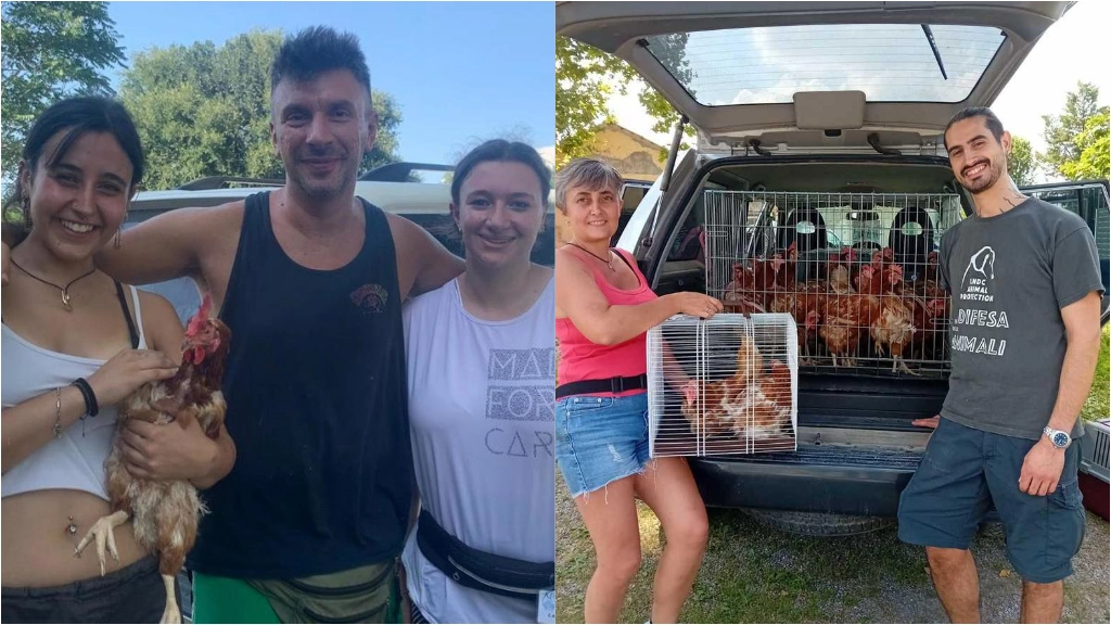 Due famiglie fra quelle che fino a venerdì scorso si sono alternate per recuperare gli esemplari di ovaiole destinati dopo due anni di produzione intensiva al macello. “Dopo un adattamento, potranno tornare a fare uova, ma senza soffrire” Due famiglie fra quelle che fino a venerdì scorso si sono alternate per recuperare gli esemplari di ovaiole destinati dopo due anni di produzione intensiva al macello. “Dopo un adattamento, potranno tornare a fare uova, ma senza soffrire”